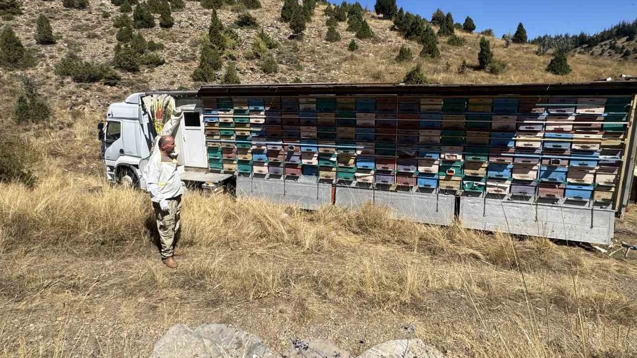 Tam beş ton bal bekliyorlar: Şeker verseydik 20 ton bal alırdık... 1 yıl sonra etkisini gösterecek