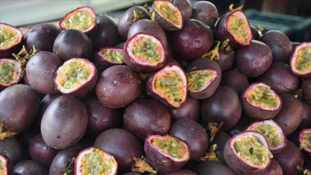 Foto - Tam bir doğal sakinleştirici! Faydaları büyük dikkat çekiyor