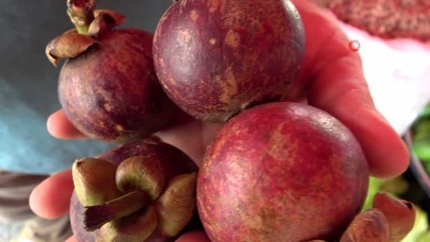 Foto - Tam bir doğal sakinleştirici! Faydaları büyük dikkat çekiyor