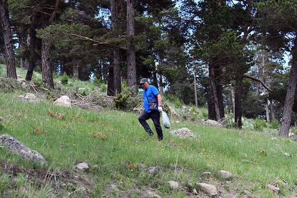 Foto - Tam bir şifa deposu! 