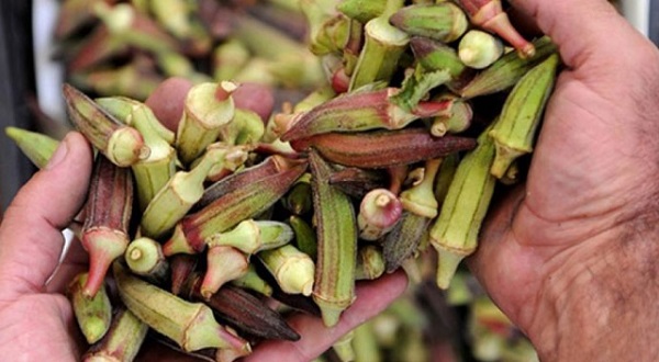 Foto - Tam bir şifa deposu! Ağrıyı bıçak gibi kesiyor