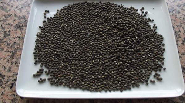 Foto - Tam bir şifa deposu! Ağrıyı bıçak gibi kesiyor