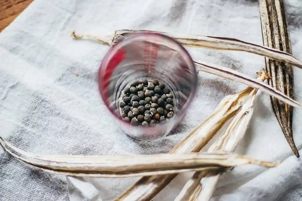 Foto - Tam bir şifa deposu! Ağrıyı bıçak gibi kesiyor