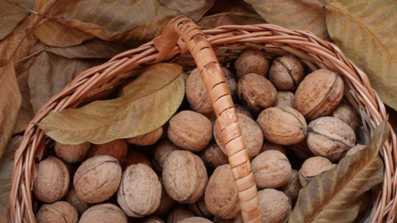 Foto - Tam bir şifa deposu: Apar topar tüm vücudun kodlarını değiştiriyor.. Müthiş ilaç bu işte...