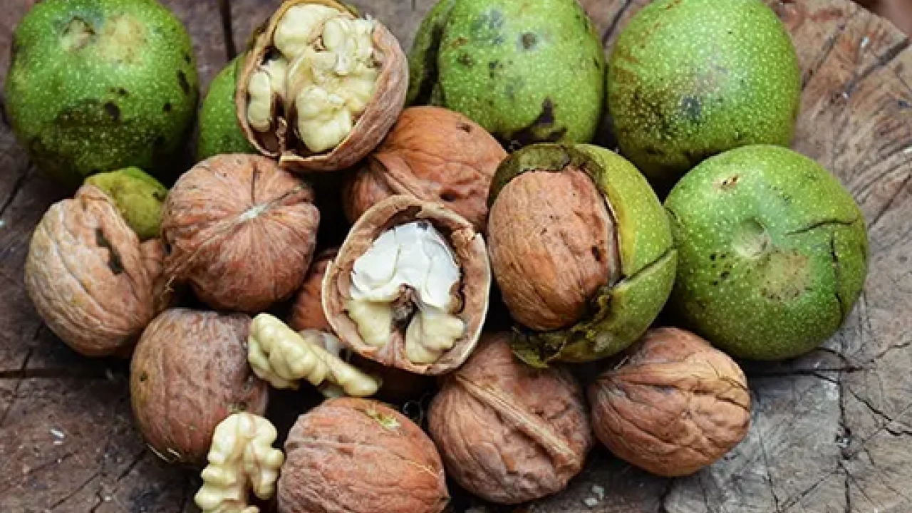 Foto - Tam bir şifa deposu: Apar topar tüm vücudun kodlarını değiştiriyor.. Müthiş ilaç bu işte...