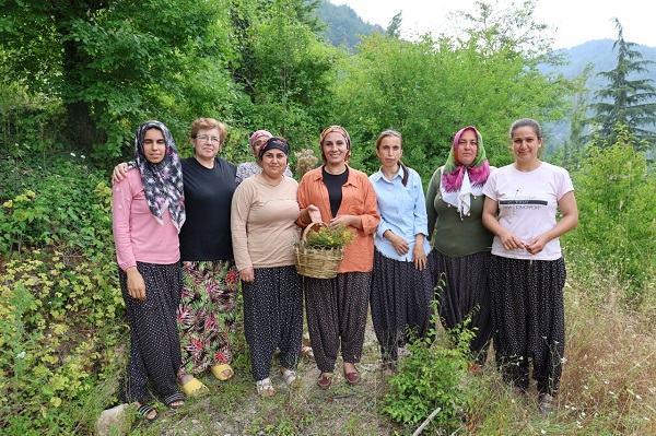 Foto - Tam bir şifa deposu! Bakın ne için kullanılıyor