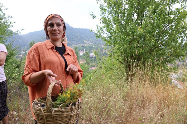 Foto - Tam bir şifa deposu! Bakın ne için kullanılıyor
