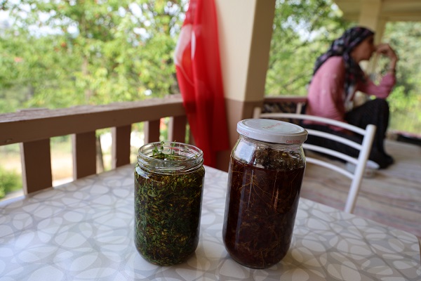 Foto - Tam bir şifa deposu! Bakın ne için kullanılıyor