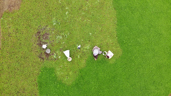 Foto - Tam bir şifa deposu! Beklenti 60 ton