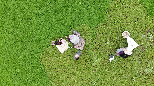 Foto - Tam bir şifa deposu! Beklenti 60 ton