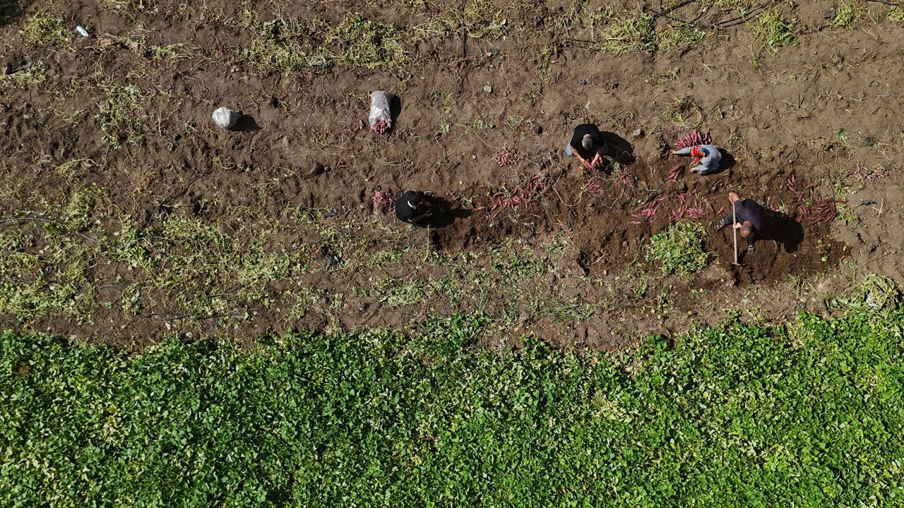 Foto - Tam bir şifa deposu! Bir kez tadan bir daha vazgeçemiyor