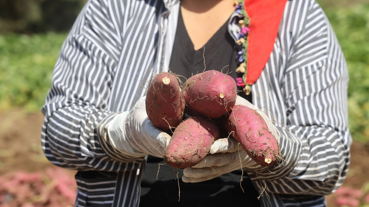 Tam bir şifa deposu! Bir kez tadan bir daha vazgeçemiyor