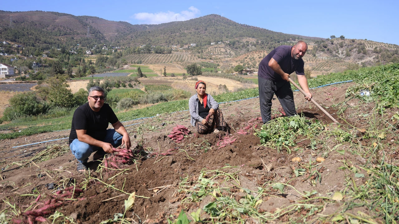 Foto - Tam bir şifa deposu! Bir kez tadan bir daha vazgeçemiyor
