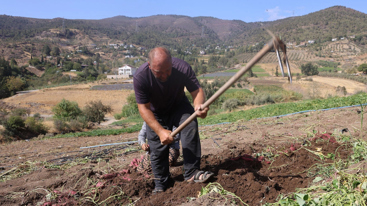 Foto - Tam bir şifa deposu! Bir kez tadan bir daha vazgeçemiyor