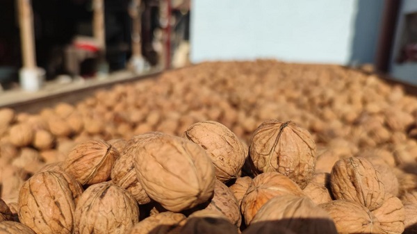 Foto - Tam bir şifa deposu | Bu iki besini birlikte yerseniz bakın ne oluyor!