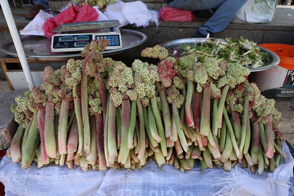 Tam bir şifa deposu! Kilosu 150 TL