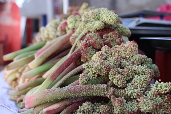 Foto - Tam bir şifa deposu! Kilosu 150 TL