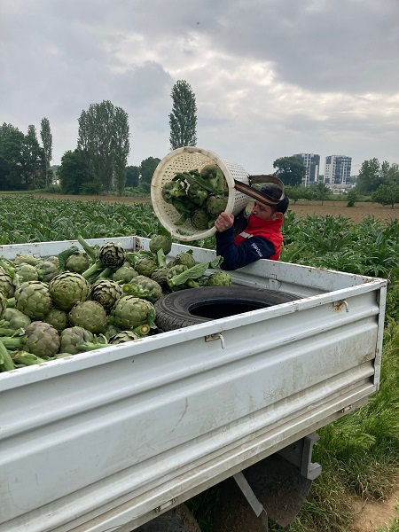 Foto - Tam bir şifa deposu! Mevsimi geldi talebe yetişemiyorlar