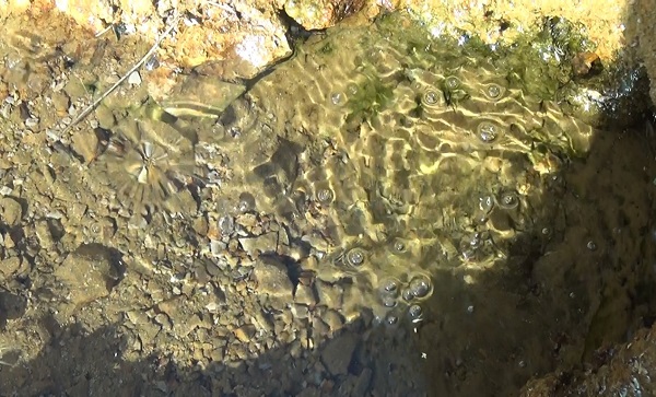 Foto - Tam bir şifa kaynağı! Bu suyu içmek için kilometrelerce yol gidiyorlar