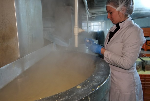 Foto - Tam bir şifa kaynağı! Yüksek miktarda çinko, B12, B7 vitamini, folik asit olduğu ortaya çıktı