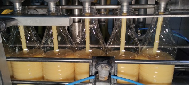 Foto - Tam bir şifa kaynağı! Yüksek miktarda çinko, B12, B7 vitamini, folik asit olduğu ortaya çıktı