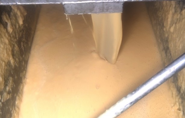 Foto - Tam bir şifa kaynağı! Yüksek miktarda çinko, B12, B7 vitamini, folik asit olduğu ortaya çıktı