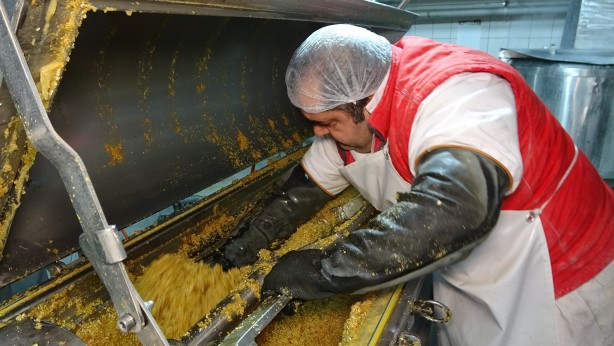 Foto - Tam bir şifa kaynağı! Yüksek miktarda çinko, B12, B7 vitamini, folik asit olduğu ortaya çıktı