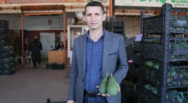 Foto - Tam bir vitamin deposu! Avokado'da 30 milyon ihracat hedefleniyor