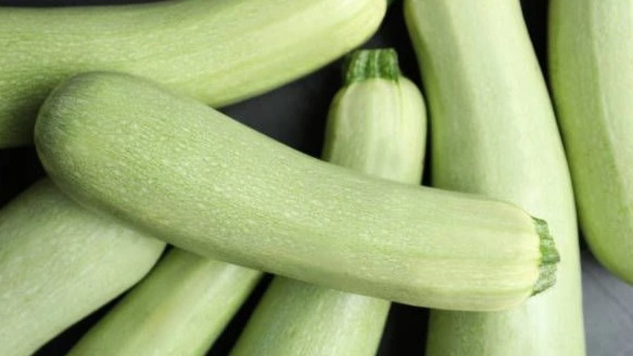 Foto - Tam bir vitamin deposu! Kabağın gizli şifası belli oldu