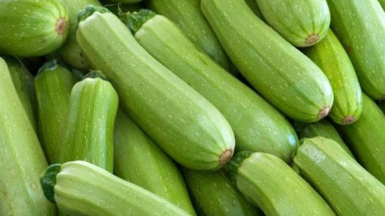 Foto - Tam bir vitamin deposu! Kabağın gizli şifası belli oldu