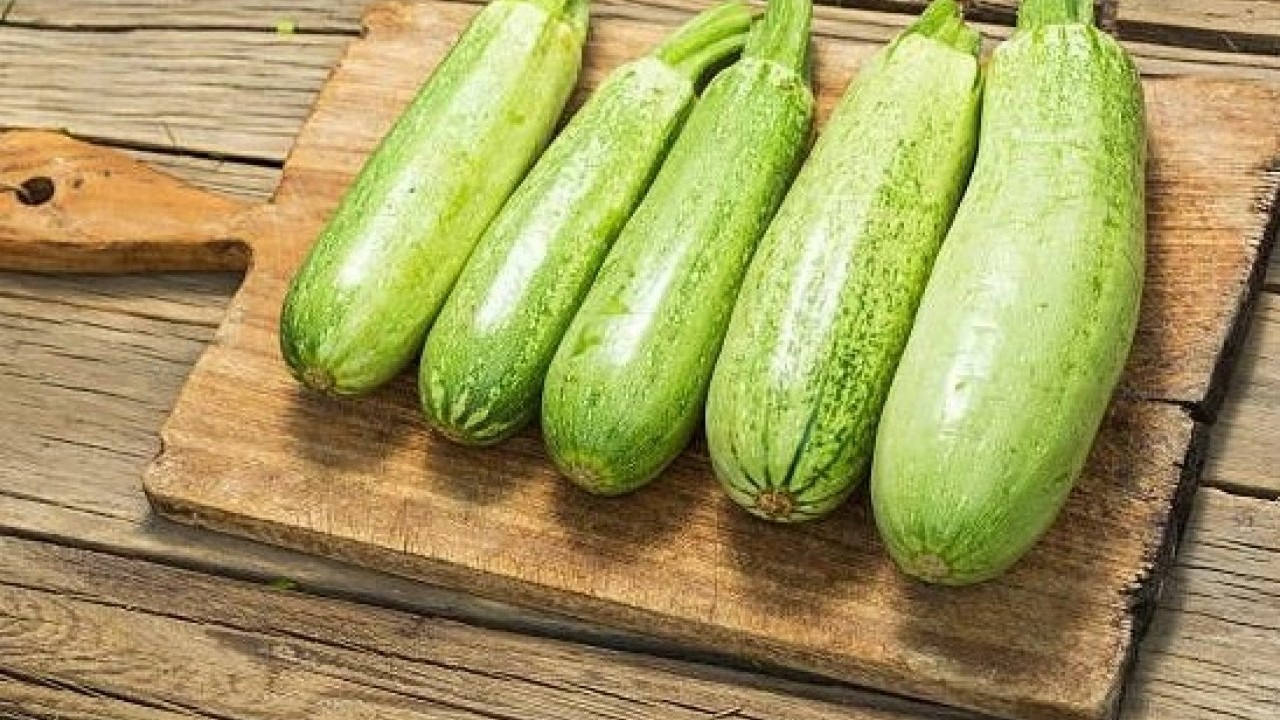 Foto - Tam bir vitamin deposu! Kabağın gizli şifası belli oldu