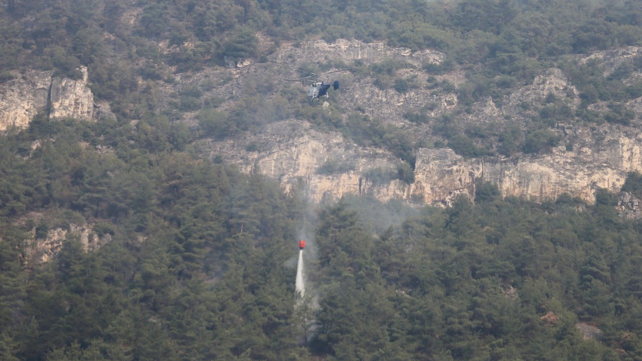 Foto - Tam bitti derken alevler yine ormanı sardı