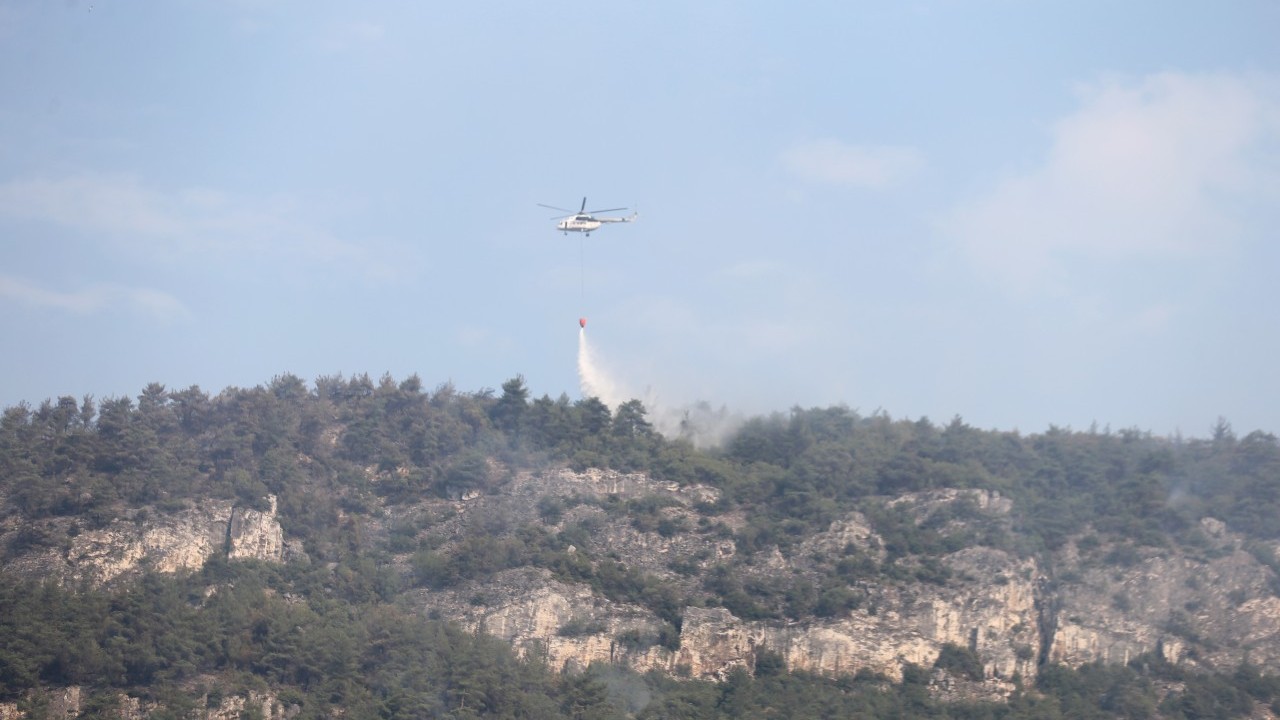 Foto - Tam bitti derken alevler yine ormanı sardı