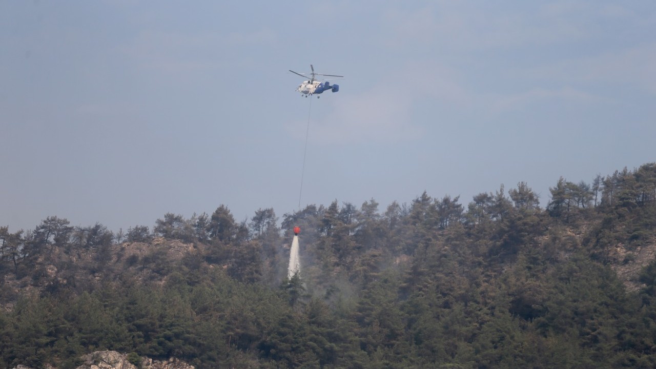 Foto - Tam bitti derken alevler yine ormanı sardı