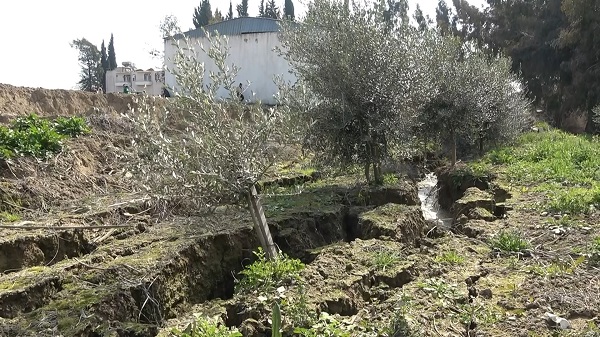 Foto - Tam dört metre çöktü! Depremde çiftlik bu hale geldi