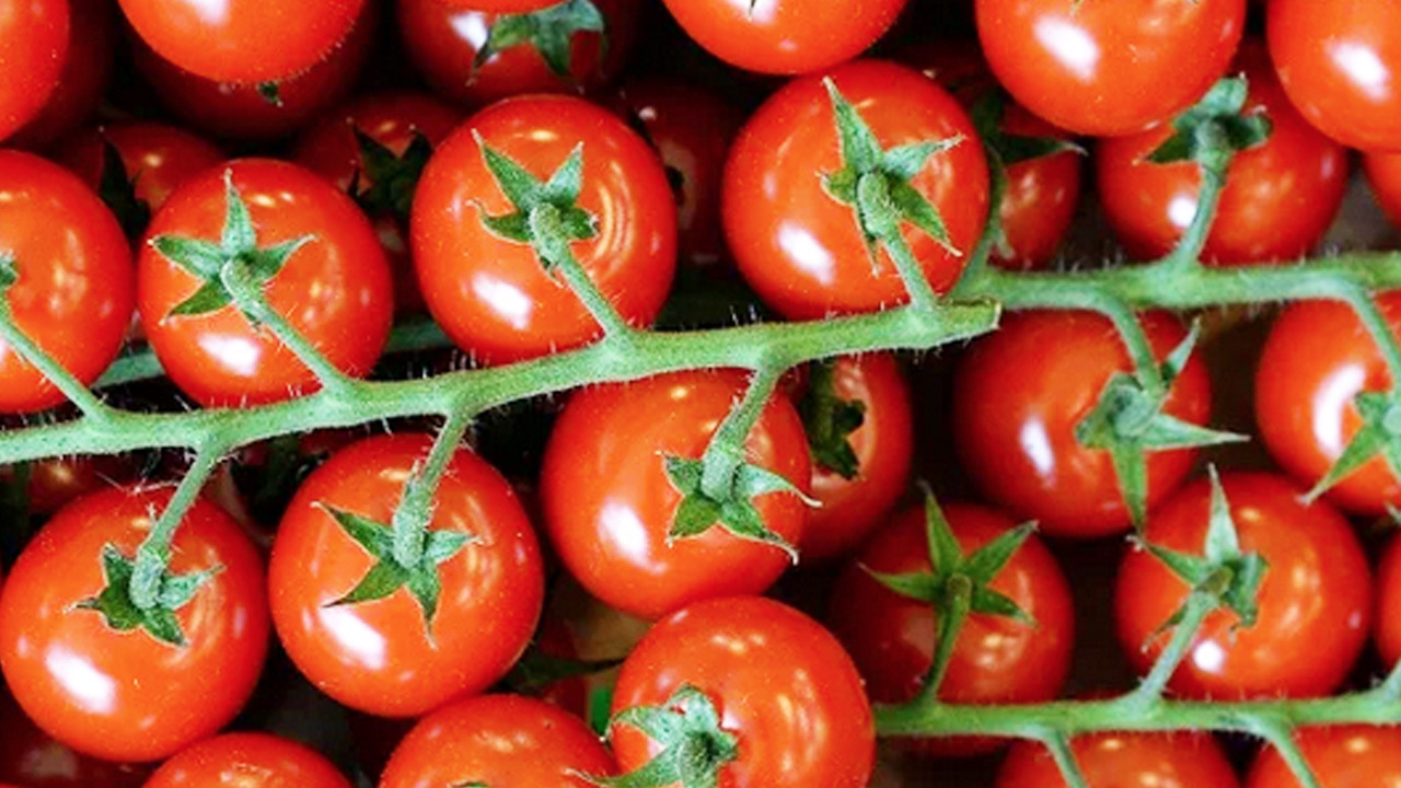 Foto - Kış ayının vazgeçilmez puf noktaları: Kurutma yöntemleri