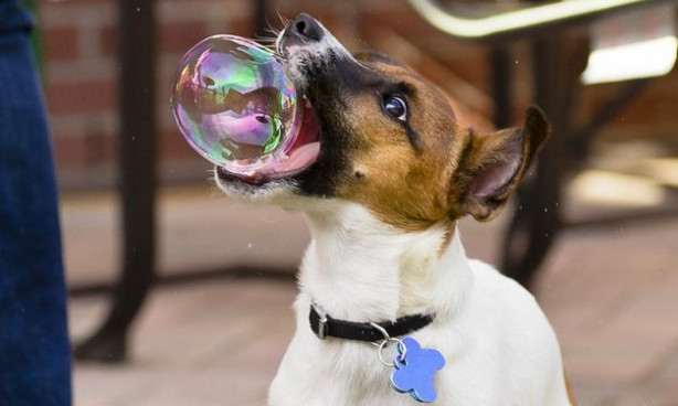 Foto - Tam o anda çekilen fotoğraflar