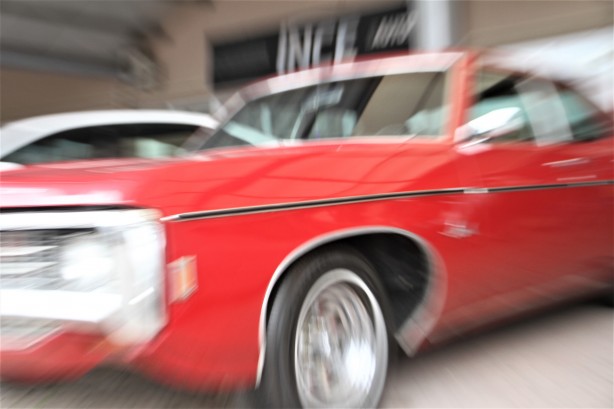 Foto - Tam yarım asırlık! Devlet bahçeli bunu görmesin