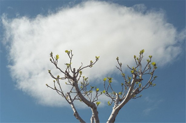 Foto - Tam zamanında çekilmiş 35 kare