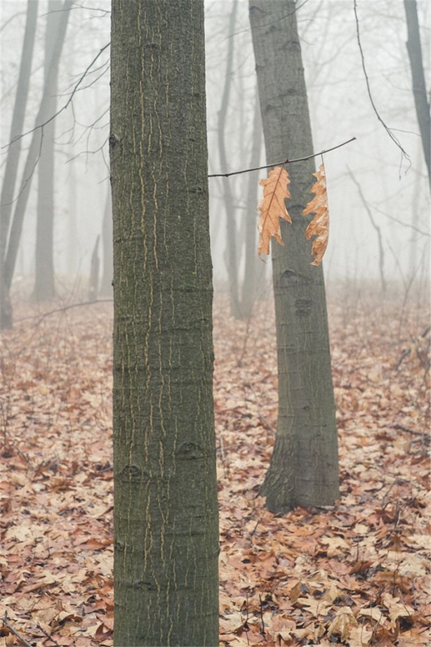 Foto - Tam zamanında çekilmiş 35 kare
