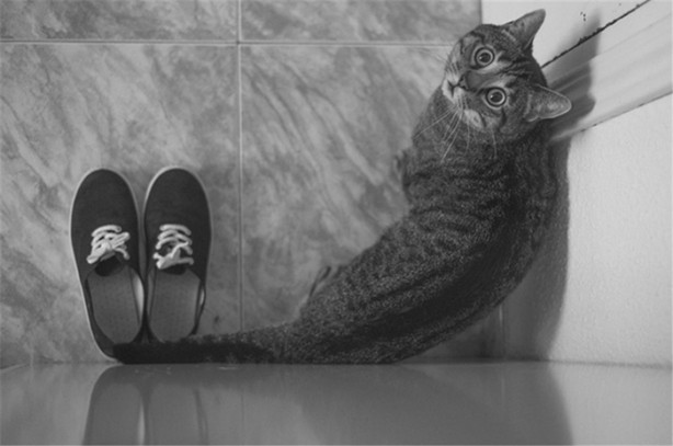 Foto - Tam zamanında çekilmiş 35 kare