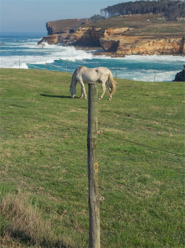 Foto - Tam zamanında çekilmiş 35 kare