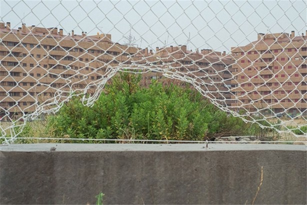 Foto - Tam zamanında çekilmiş 35 kare