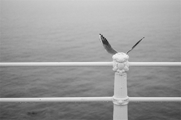 Foto - Tam zamanında çekilmiş 35 kare