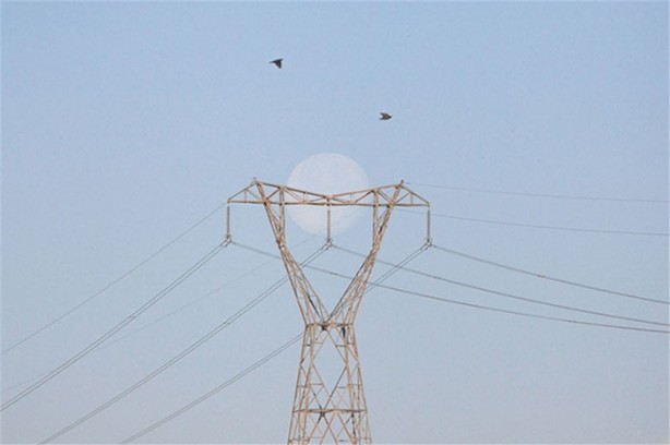 Foto - Tam zamanında çekilmiş 35 kare