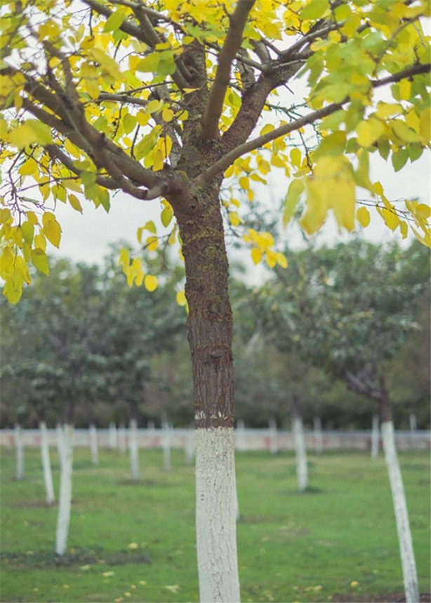Foto - Tam zamanında çekilmiş 35 kare