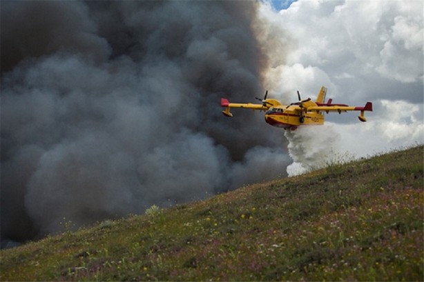 Foto - Tam zamanında çekilmiş 35 kare