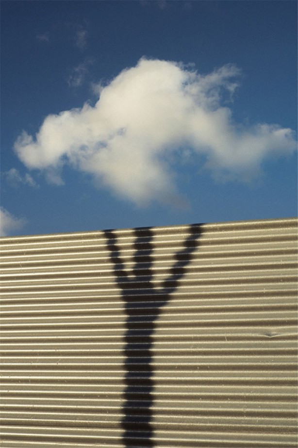 Foto - Tam zamanında çekilmiş 35 kare