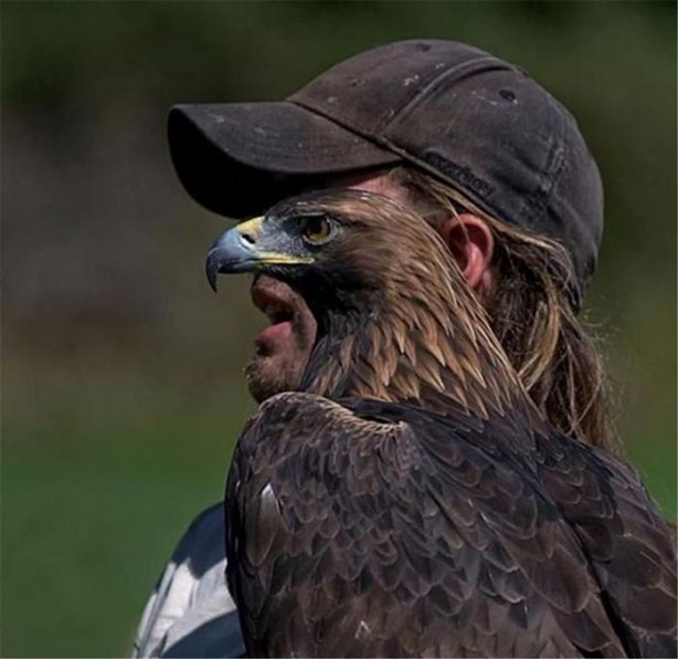 Foto - Tam zamanında çekilmiş komik kareler