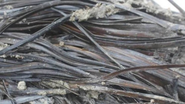 Tamı tamına 2 bin 300 yıllık! Bilim insanlarını havalara uçuran keşif! Tüm dünyaya "Bulduuukk" diye ilan ettiler